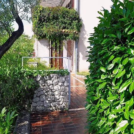 Guest house Mandica