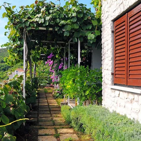 Mandica Guest house